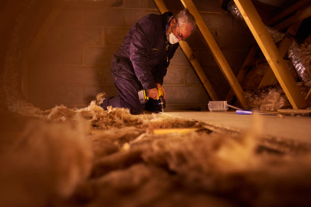 Insulation Inspection Services in College Station, TX